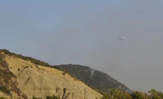  Лесные пожары в Краснодарском крае