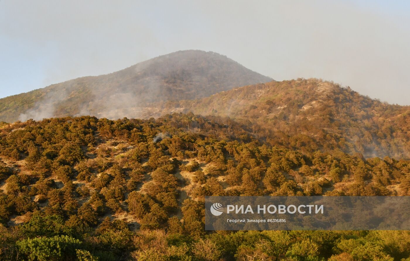  Лесные пожары в Краснодарском крае