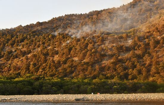  Лесные пожары в Краснодарском крае