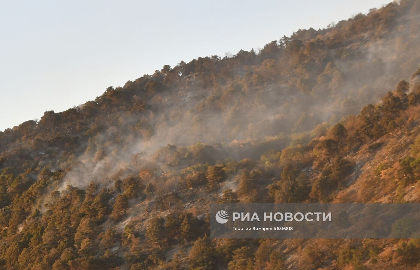 Лесные пожары в Краснодарском крае