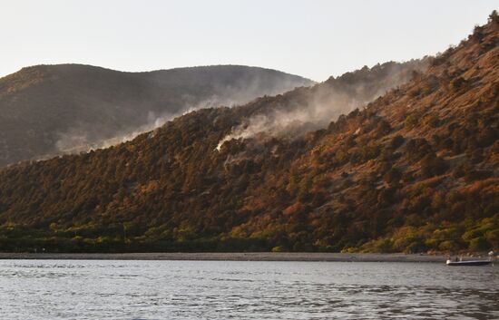  Лесные пожары в Краснодарском крае