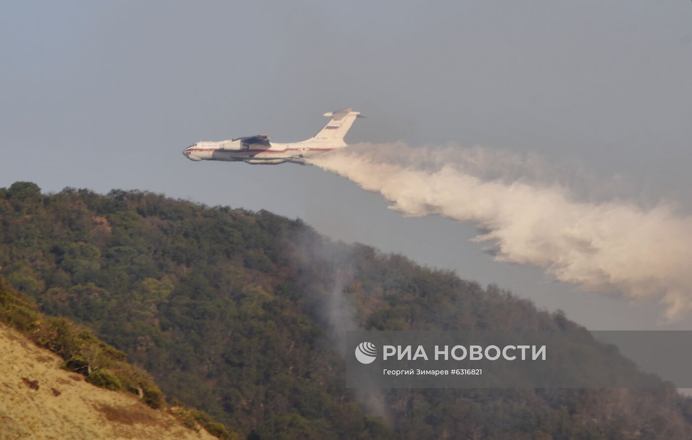 Лесные пожары в Краснодарском крае