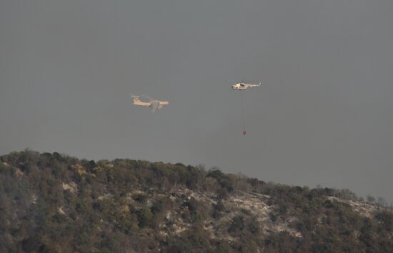  Лесные пожары в Краснодарском крае