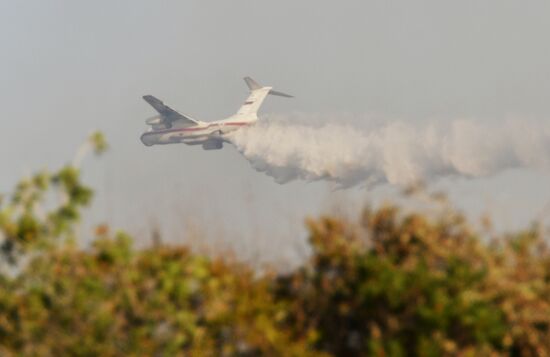 Лесные пожары в Краснодарском крае