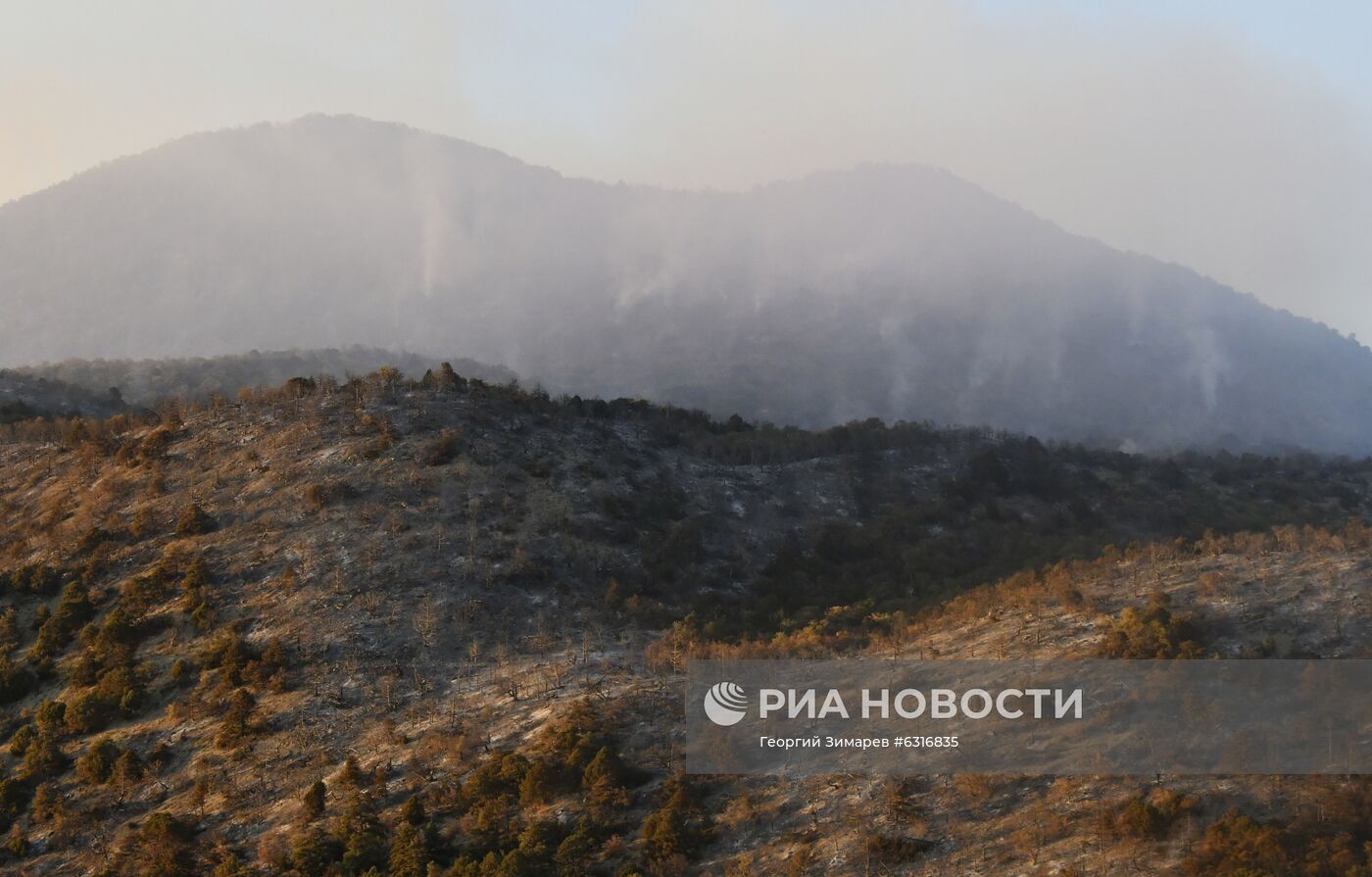 Лесные пожары в Краснодарском крае