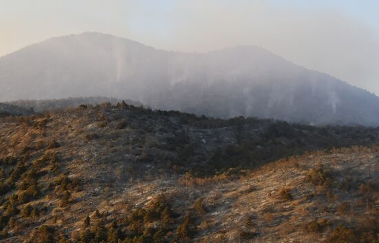  Лесные пожары в Краснодарском крае