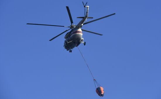  Лесные пожары в Краснодарском крае