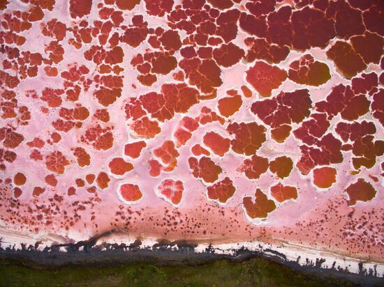 Соленые озера Алтайского края