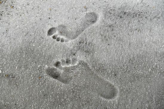 Соленые озера Алтайского края