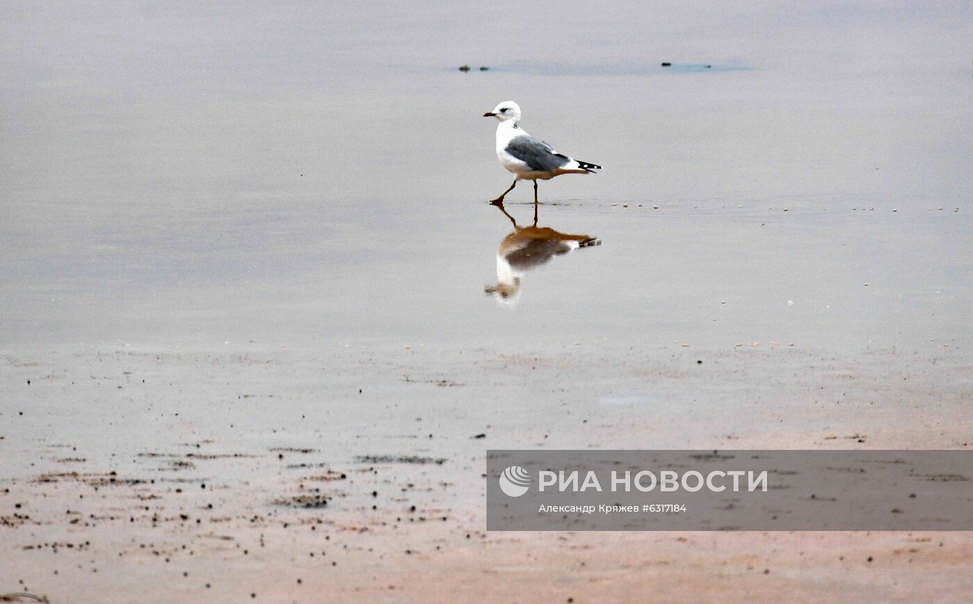 Соленые озера Алтайского края