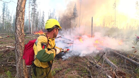 Лесные пожары в Красноярском крае