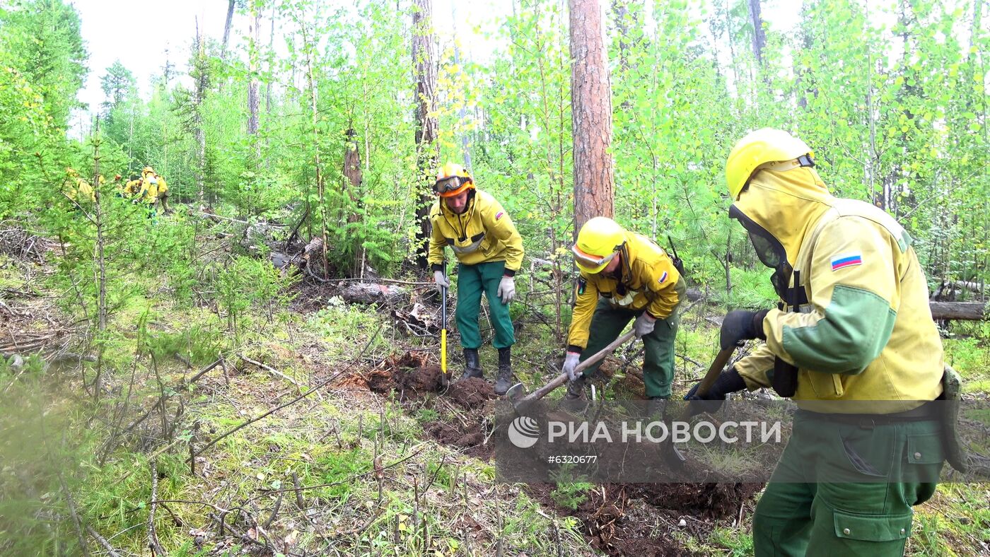 Лесные пожары в Красноярском крае