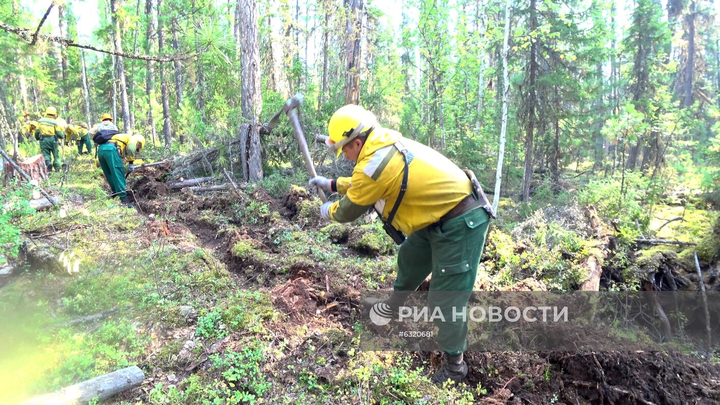 Лесные пожары в Красноярском крае