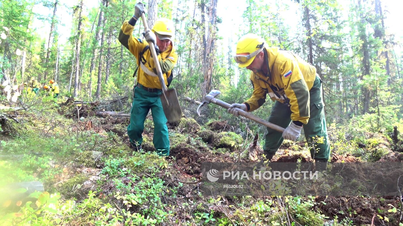 Лесные пожары в Красноярском крае