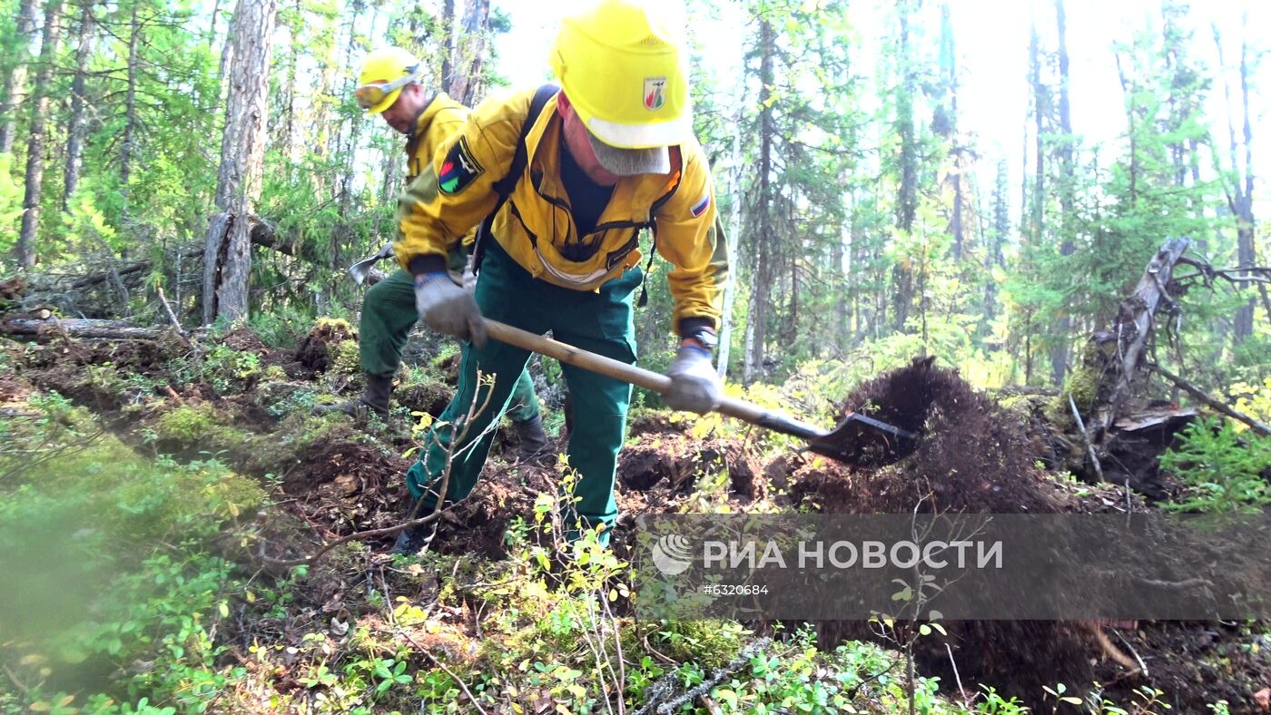 Лесные пожары в Красноярском крае