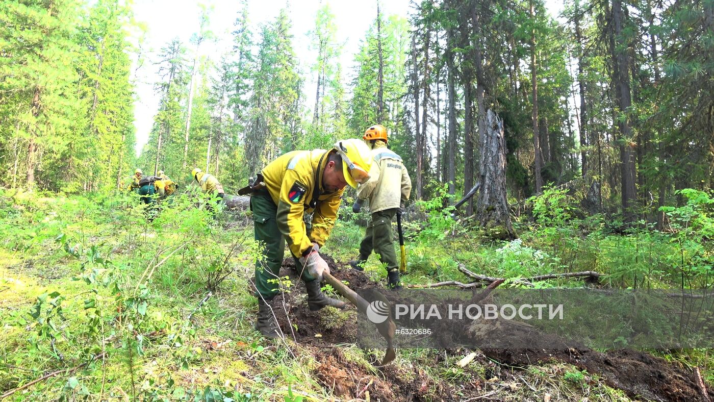 Лесные пожары в Красноярском крае