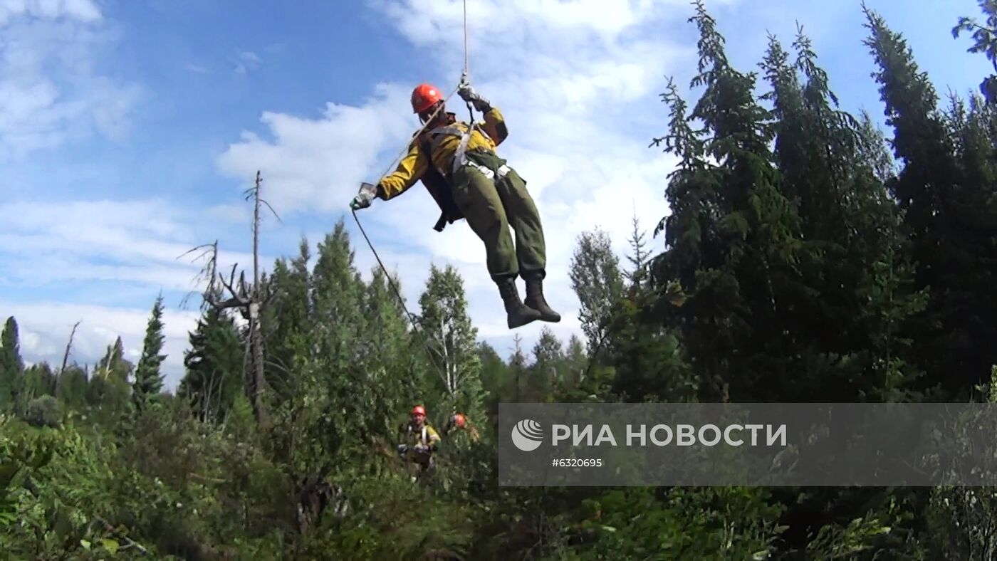 Лесные пожары в Красноярском крае