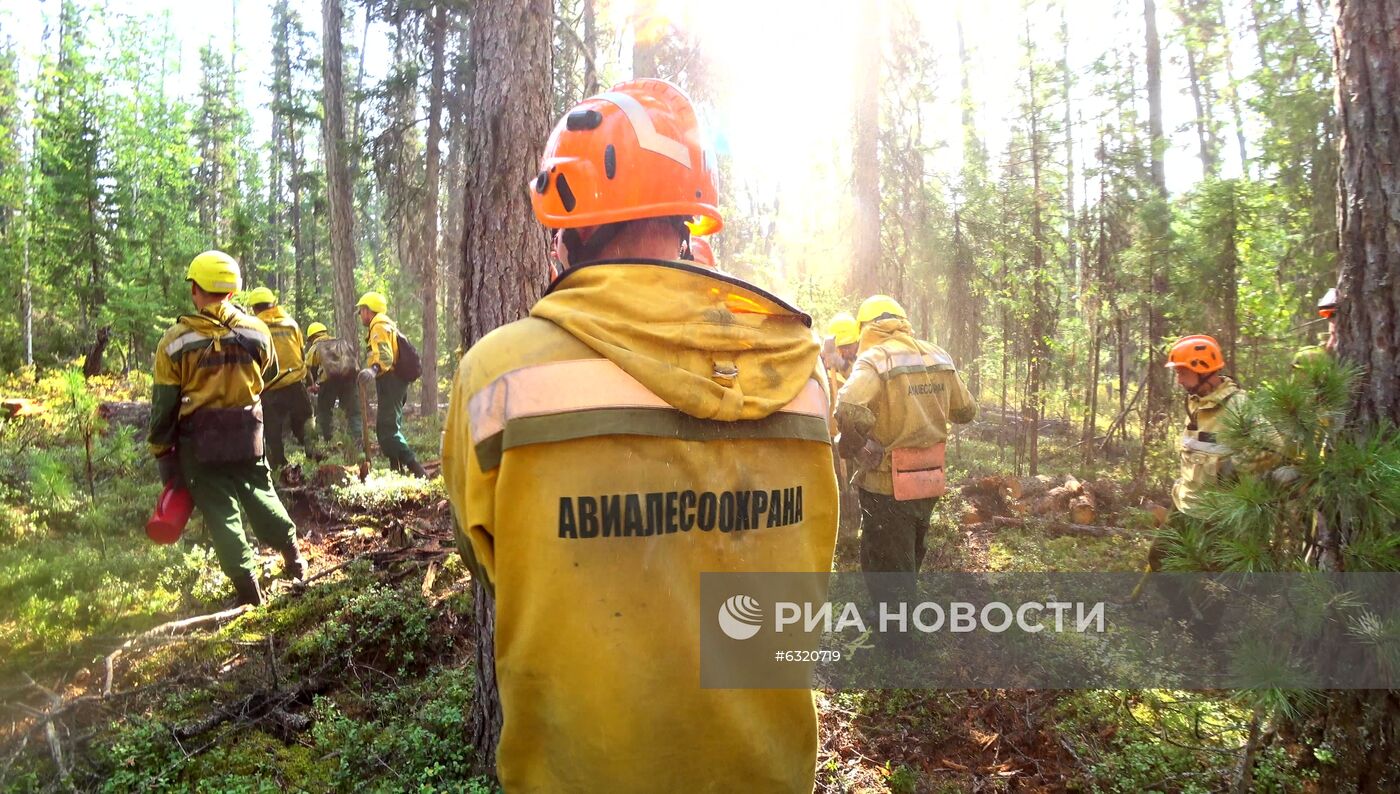 Лесные пожары в Красноярском крае