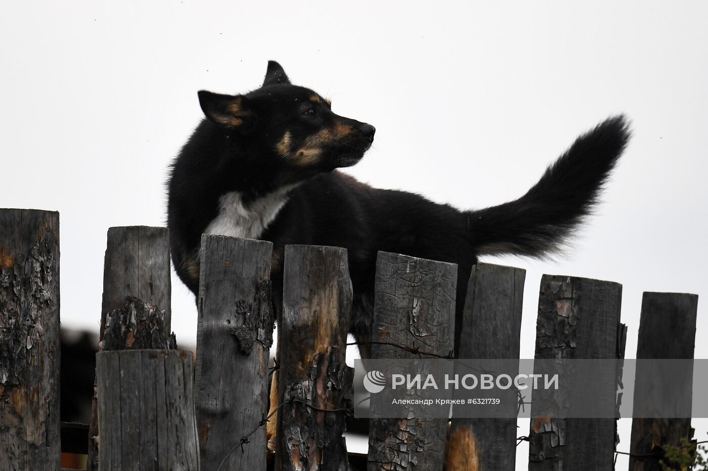 Сельская школа в селе Юрт-Акбалык