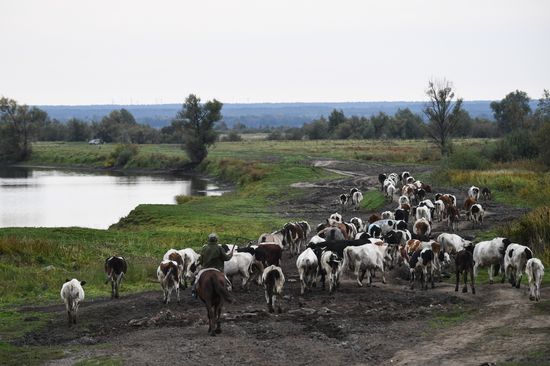 Сельская школа в селе Юрт-Акбалык