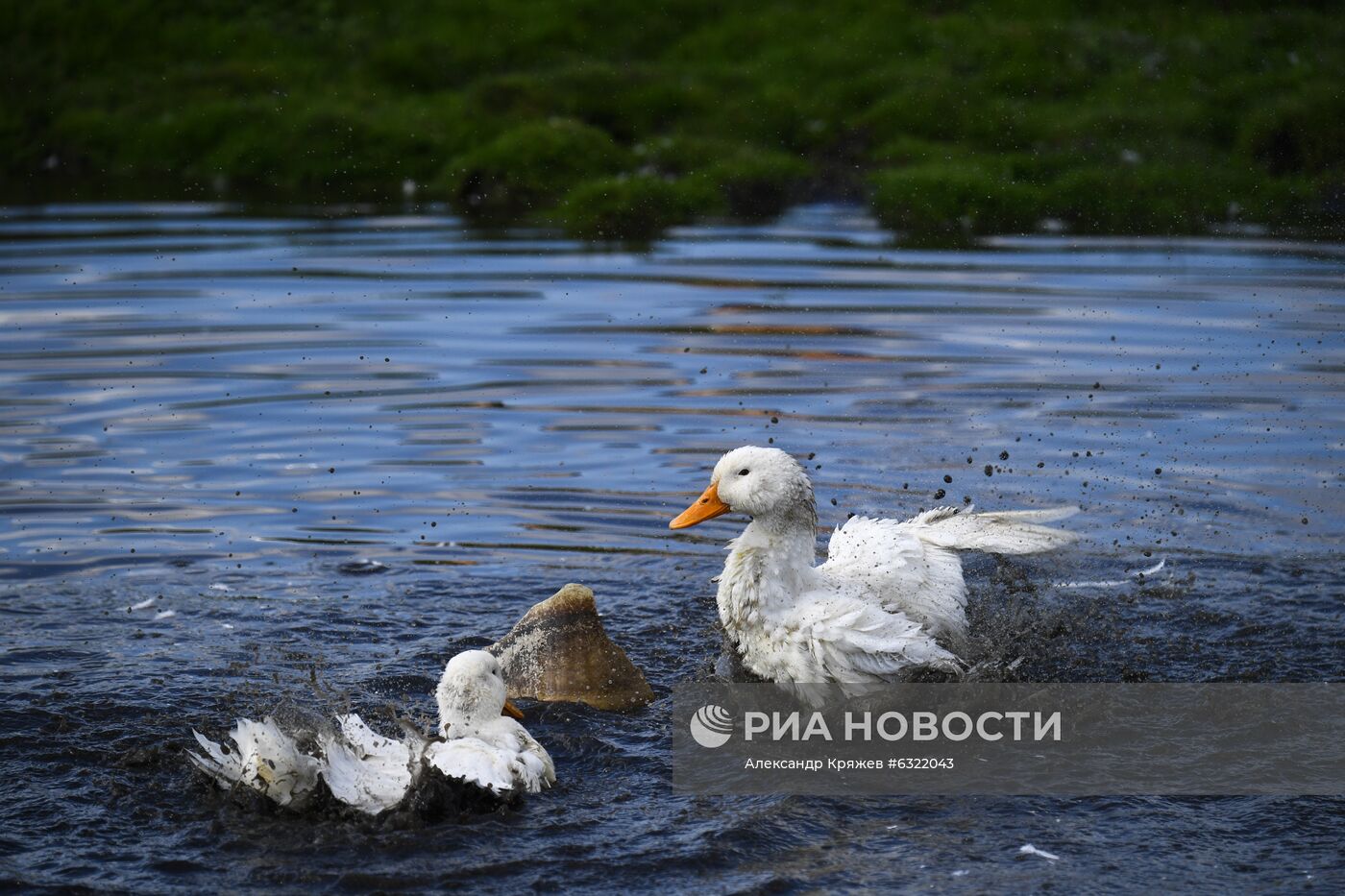 Сельская школа в селе Юрт-Акбалык