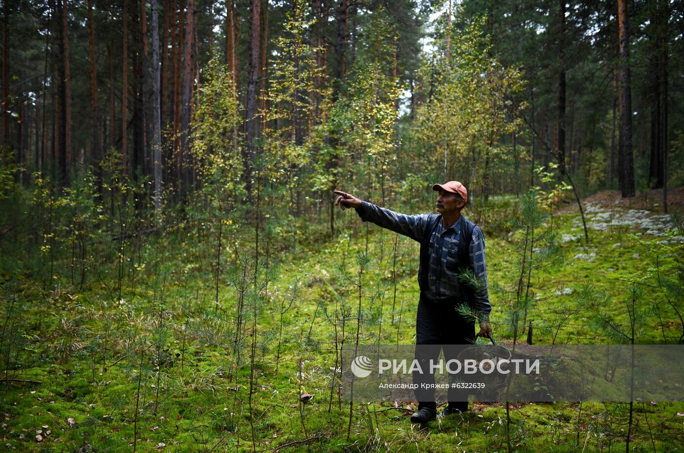 Сбор и заготовка грибов в селе Юрт-Акбалык