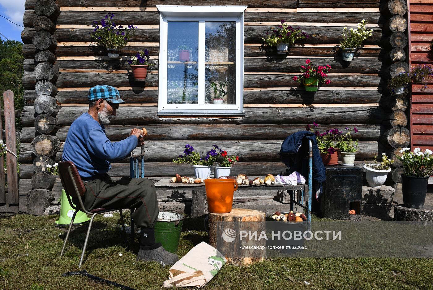 Сбор и заготовка грибов в селе Юрт-Акбалык