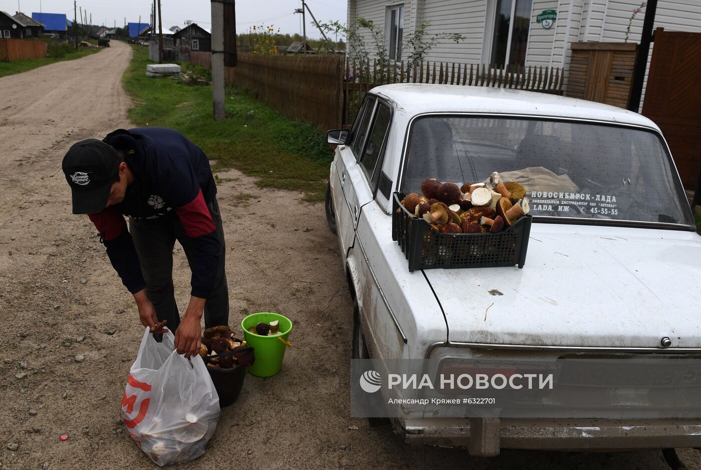 Сбор и заготовка грибов в селе Юрт-Акбалык