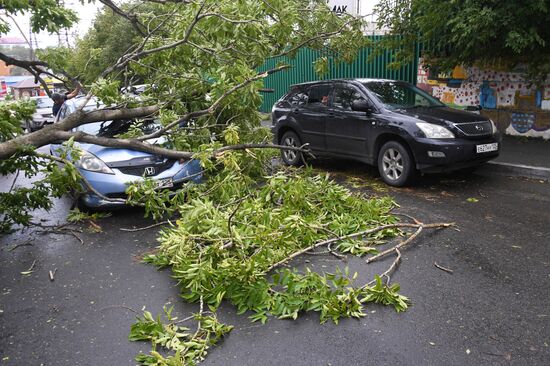 Последствия урагана во Владивостоке