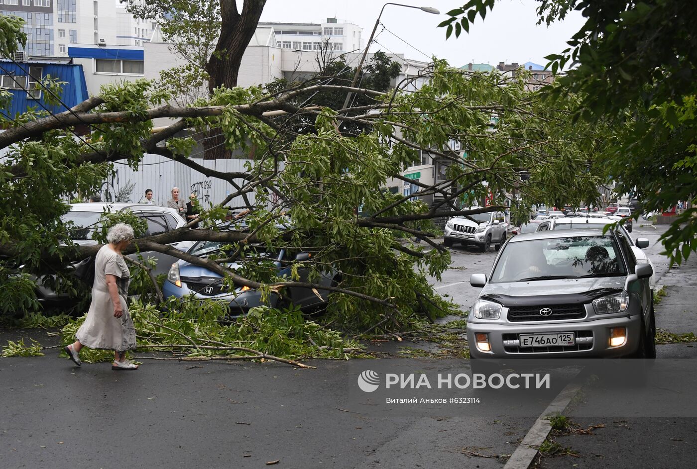 Последствия урагана во Владивостоке