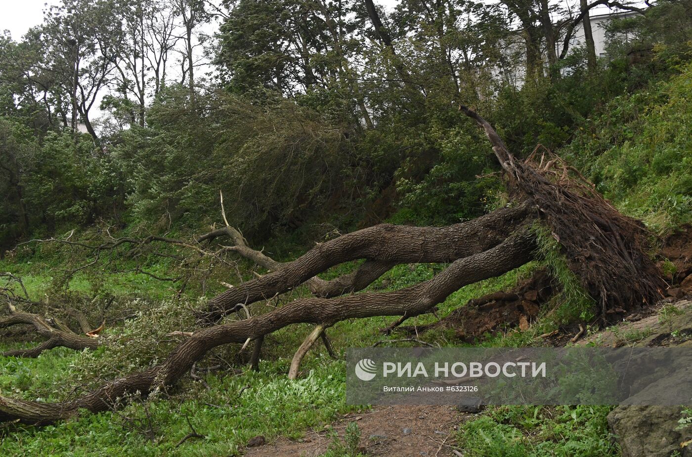 Последствия урагана во Владивостоке