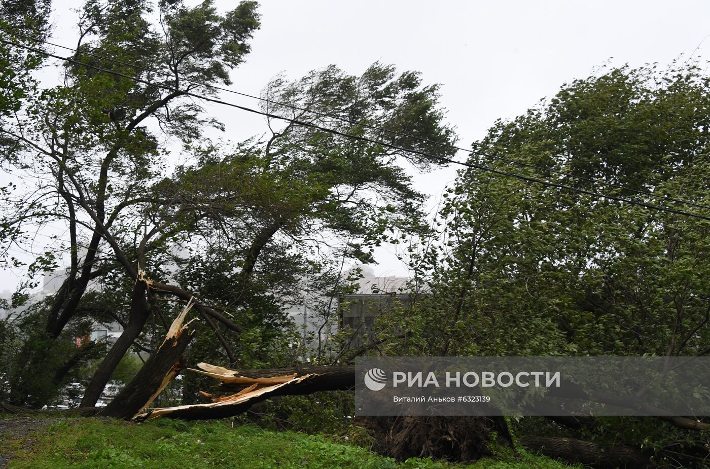 Последствия урагана во Владивостоке