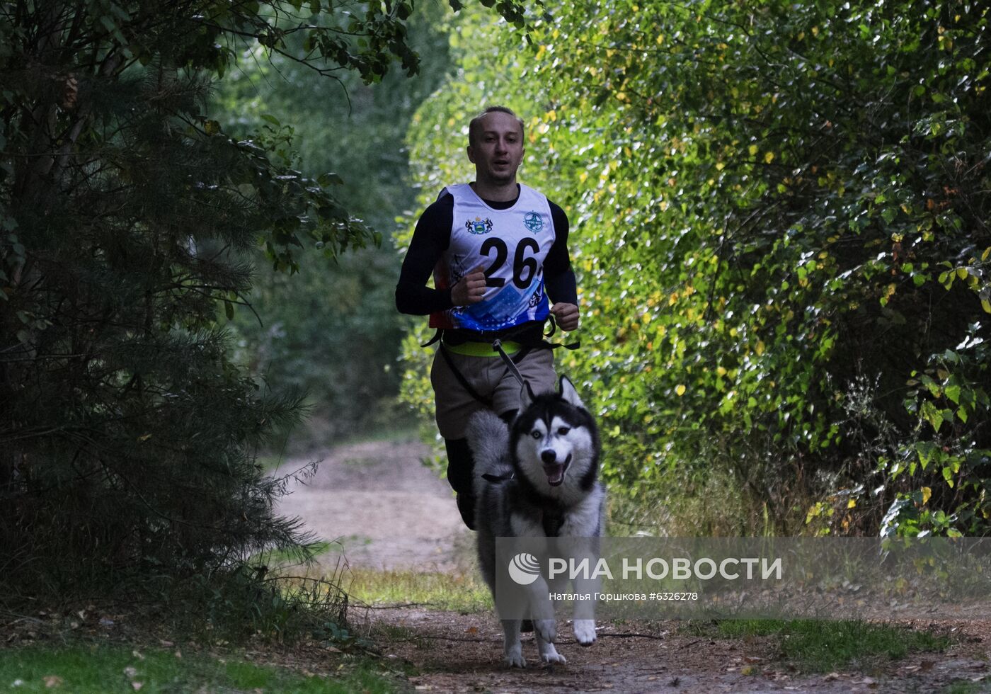 Соревнования по ездовому спорту в Тюменской области