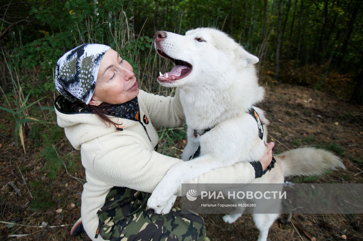 Соревнования по ездовому спорту в Тюменской области