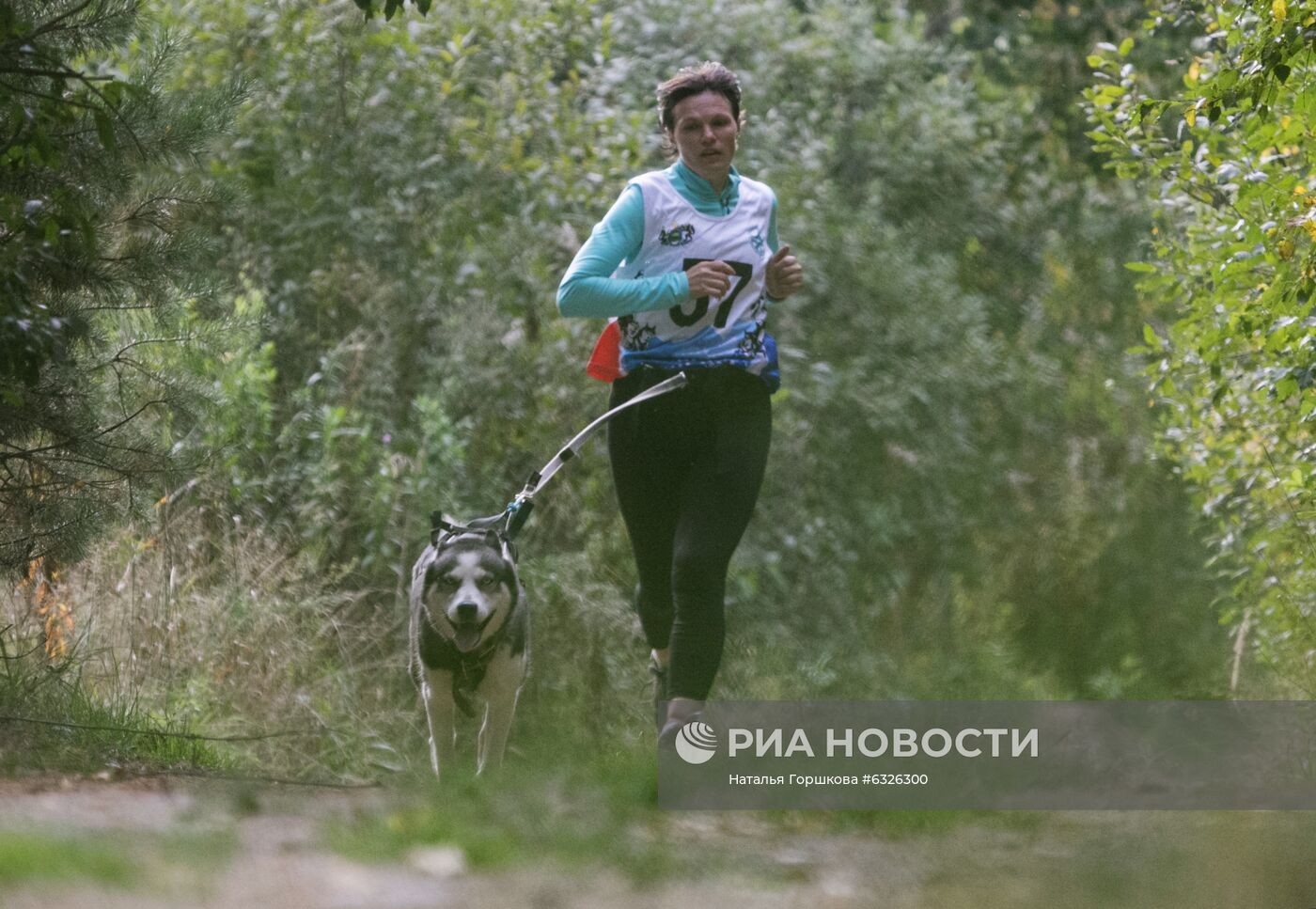 Соревнования по ездовому спорту в Тюменской области