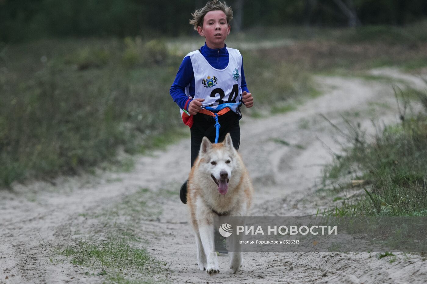Соревнования по ездовому спорту в Тюменской области