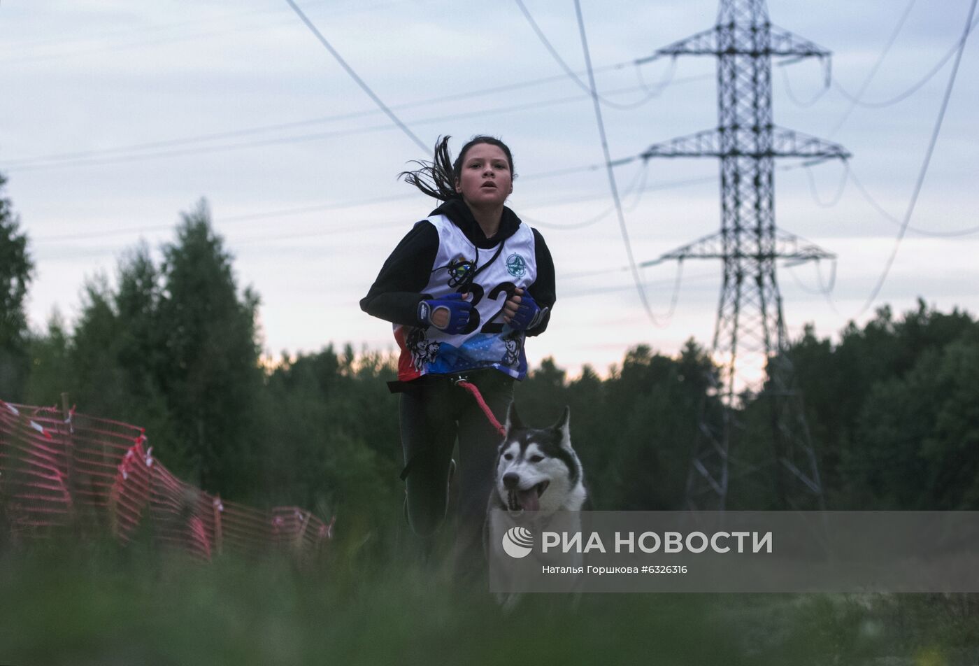 Соревнования по ездовому спорту в Тюменской области