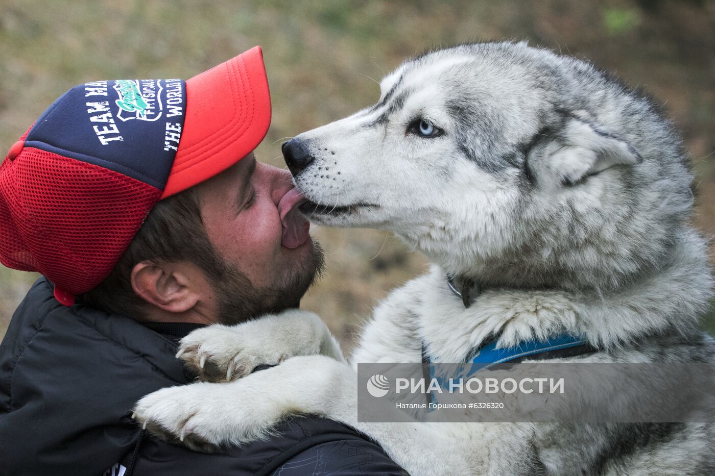 Соревнования по ездовому спорту в Тюменской области