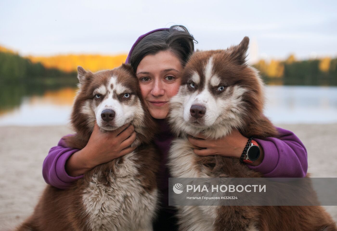 Соревнования по ездовому спорту в Тюменской области