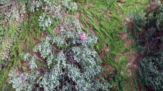 Потерявшихся детей эвакуировали на вертолете с горы Ачишхо