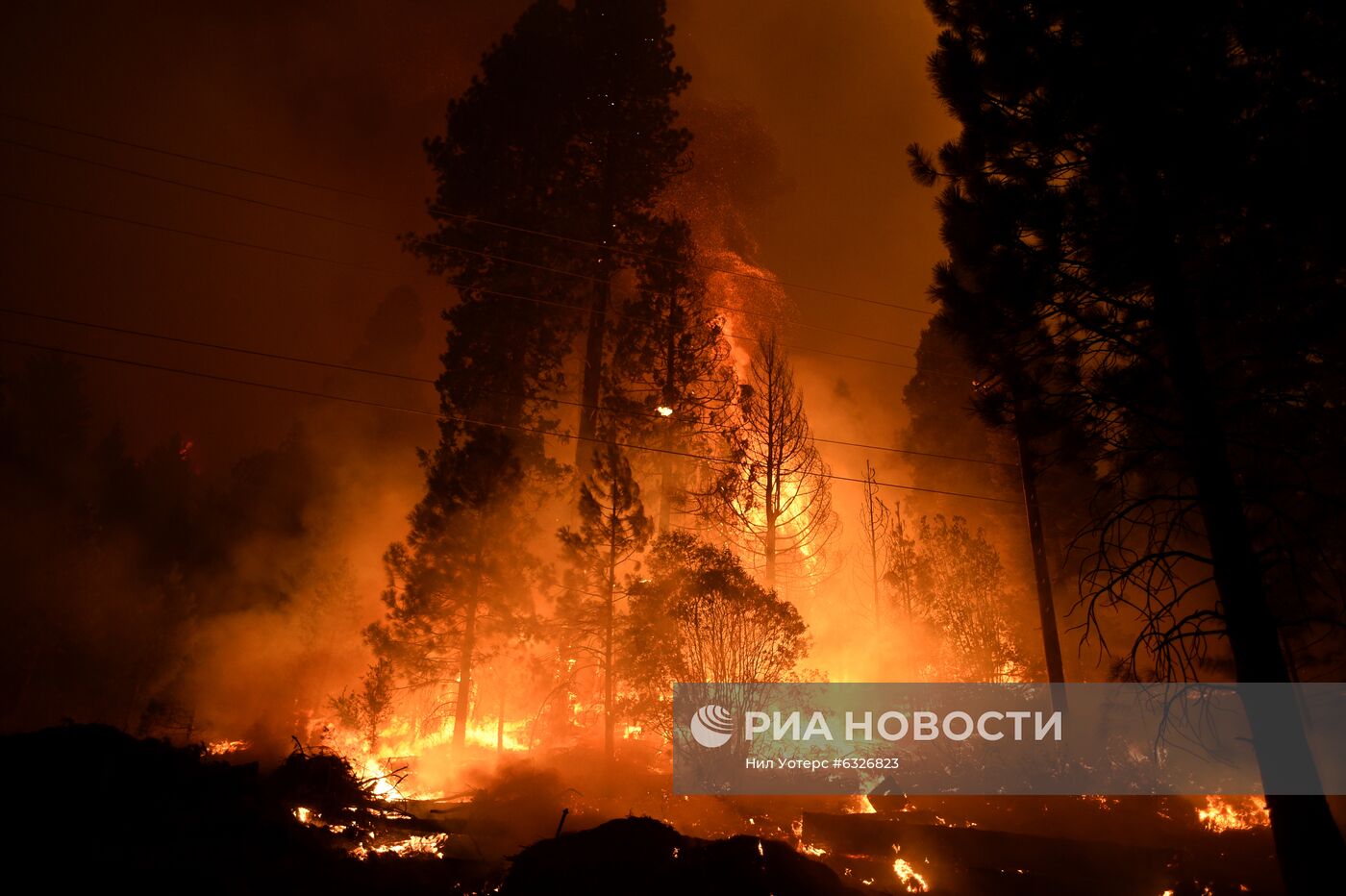 Пожары в Калифорнии