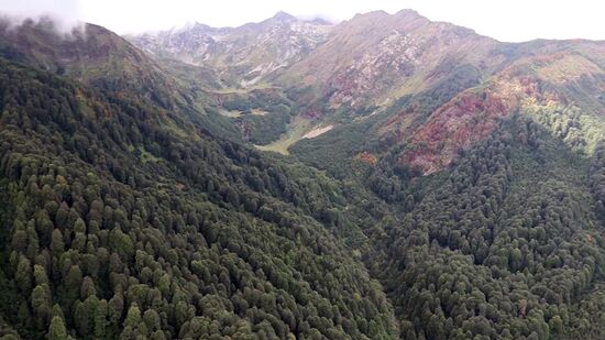 Потерявшихся детей эвакуировали на вертолете с горы Ачишхо