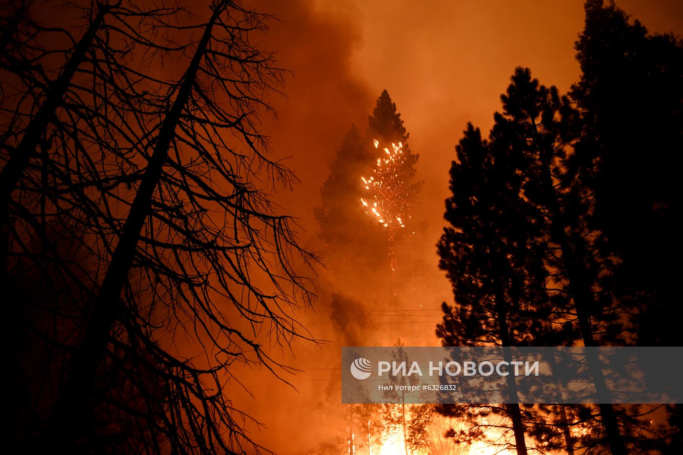 Пожары в Калифорнии