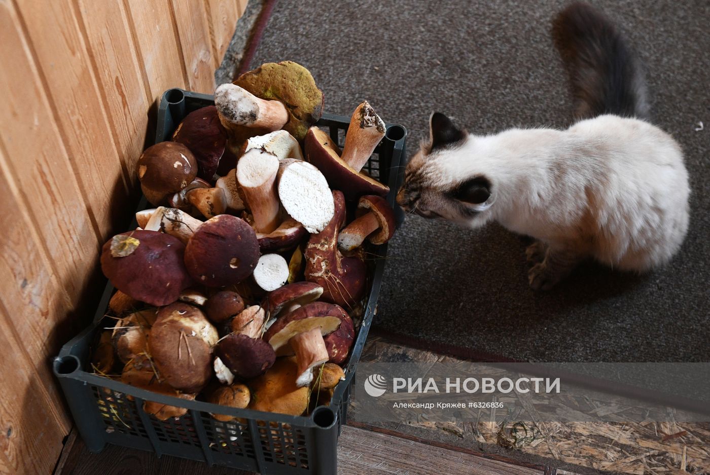 Фото недели Фото недели