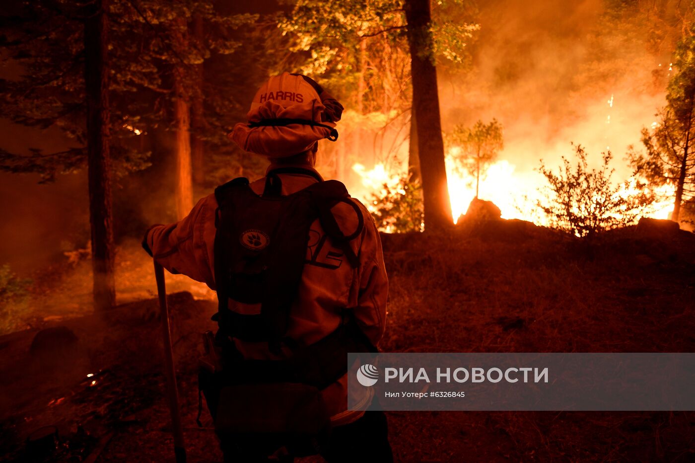 Пожары в Калифорнии