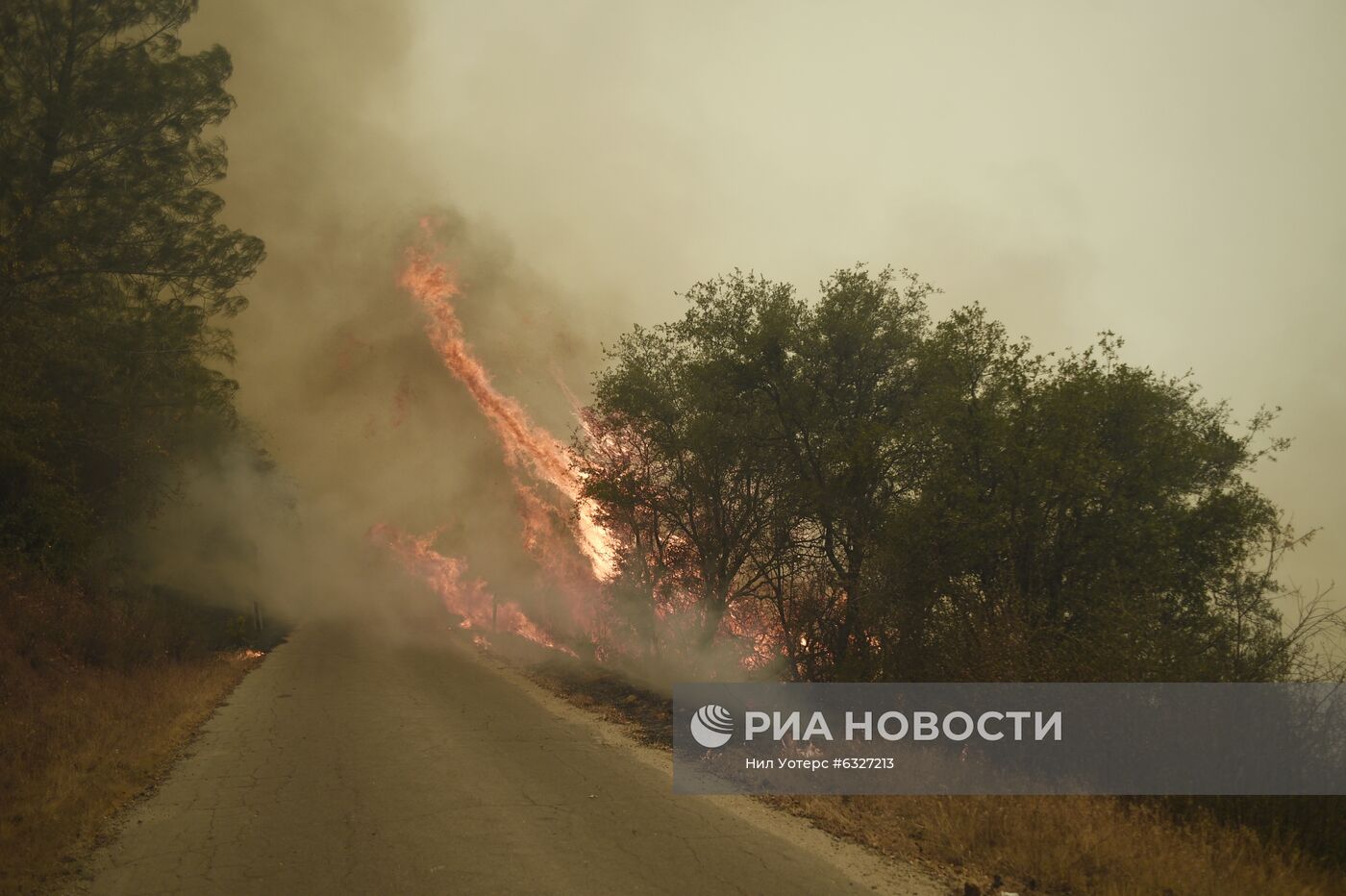 Пожары в Калифорнии