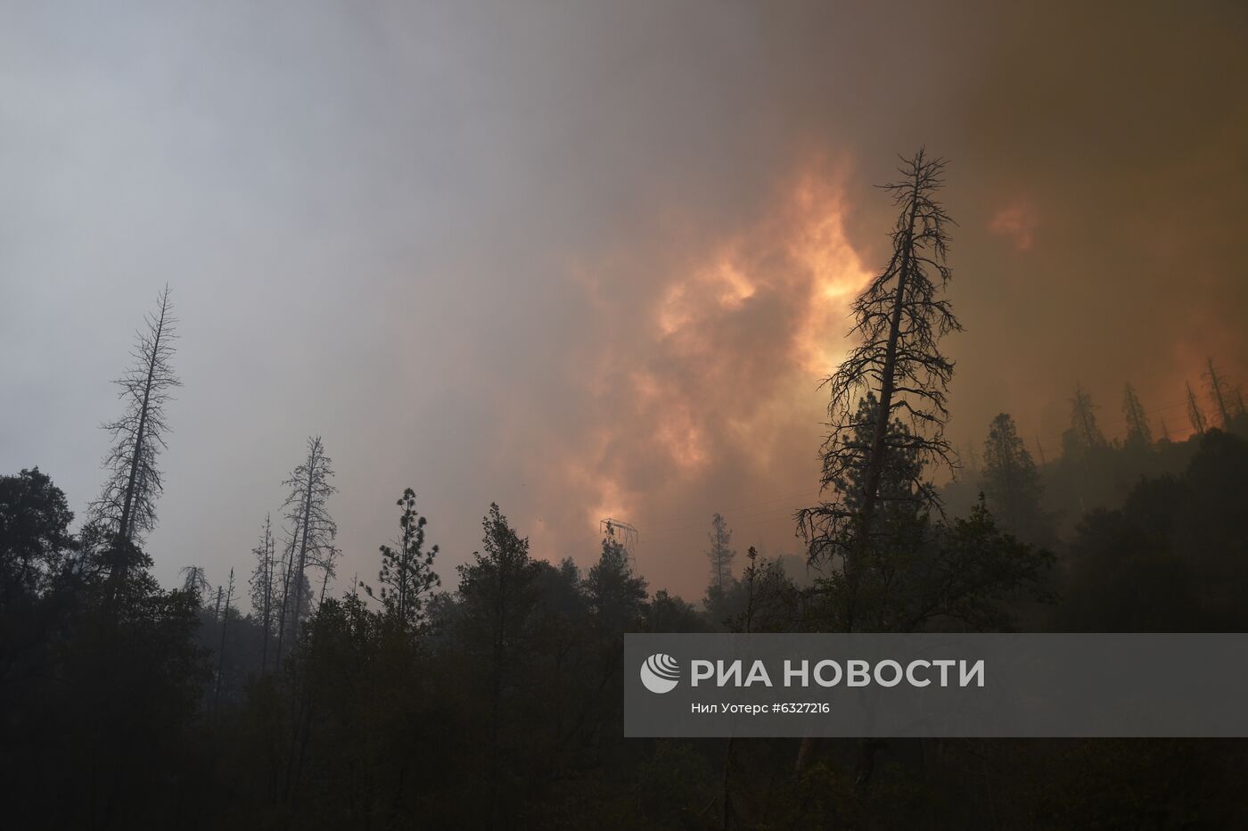 Пожары в Калифорнии