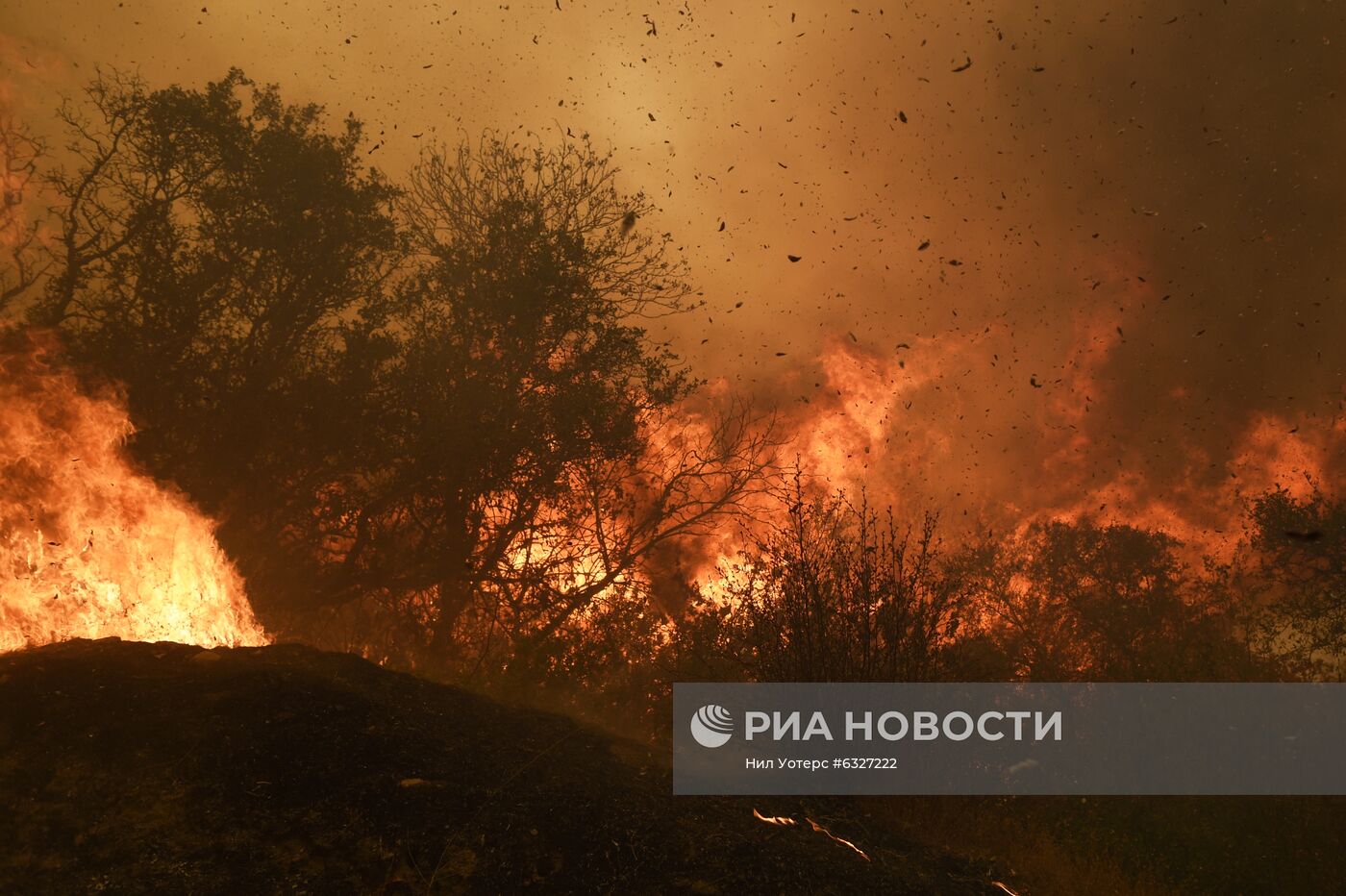 Пожары в Калифорнии