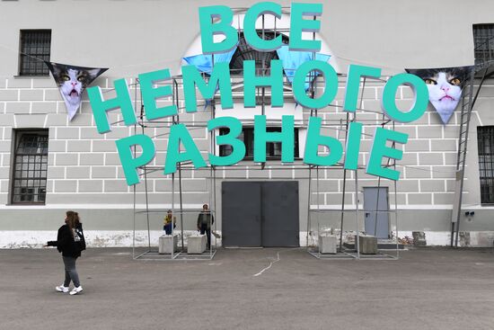 Ярмарка современного искусства blazar в Музее Москвы