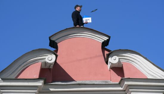 В Петербурге мужчина забрался на крышу Александро-Невской лавры